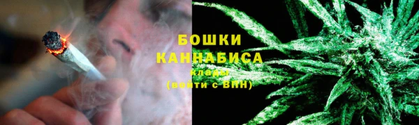 молекула духа Волосово