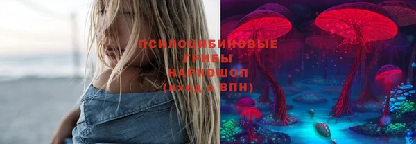 тгк Верея