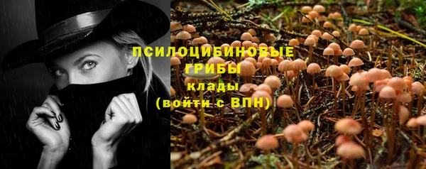 тгк Верея