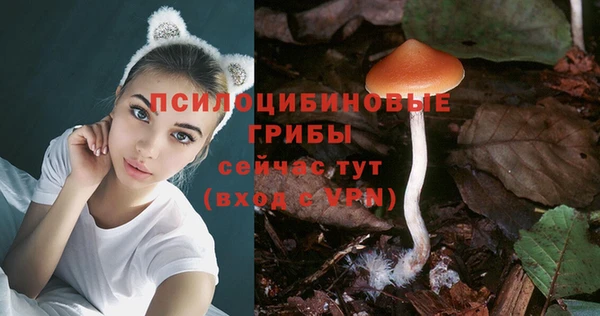 молекула духа Волосово